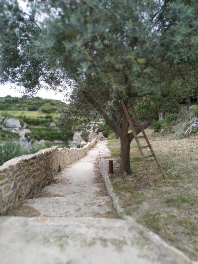 Aigues-Vives L'Arbre A Soleil别墅 外观 照片